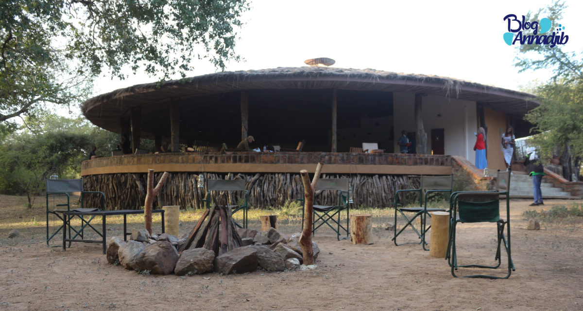 Article : Le parc national de Zakouma, une exp&eacute;rience humaine avant tout