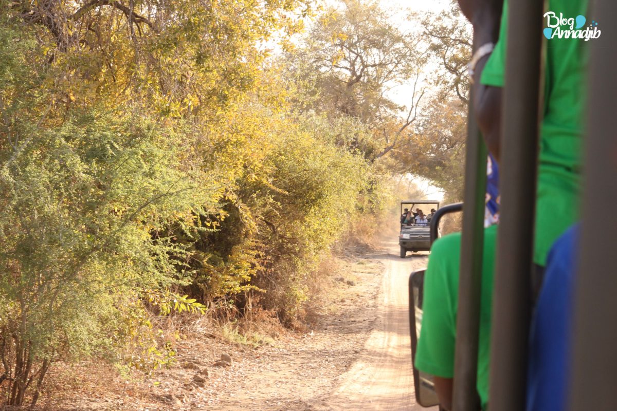 Article : Safari photo au parc national de Zakouma