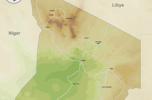 Article : Tchad : la fermeture de la frontière avec la Libye est un calvaire pour la population