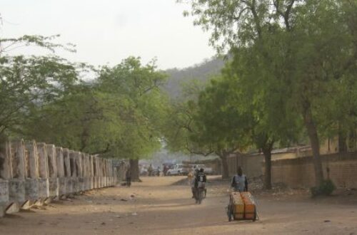 Article : Une journée à Mongo, à la découverte de la gastronomie tchadienne