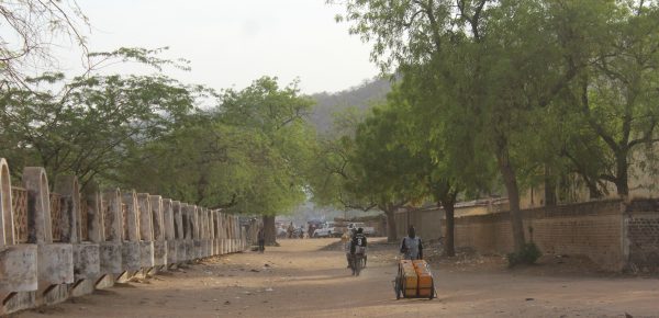 Article : Une journée à Mongo, à la découverte de la gastronomie tchadienne